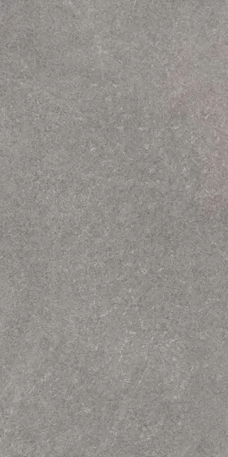 Роверелла пепельный обрезной  |60х119.5