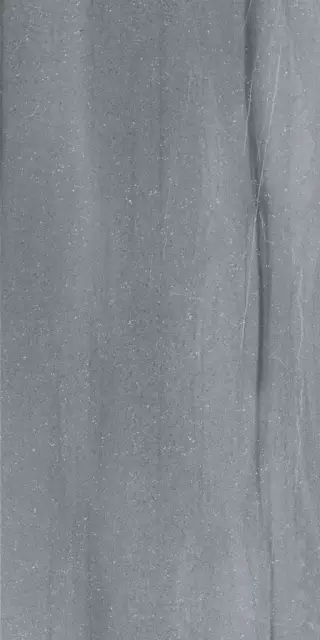 Роверелла серый обрезной| 60x119.5