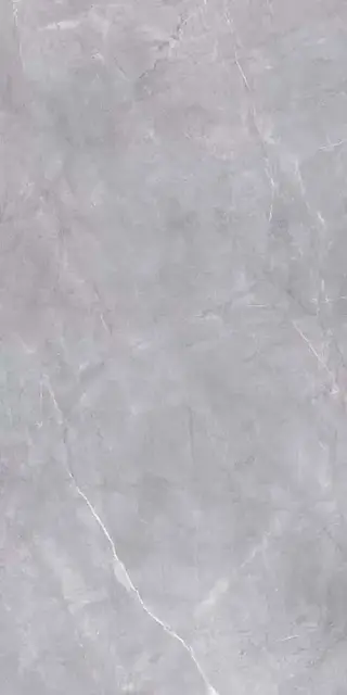 Риальто серый|119.5x238.5