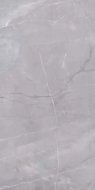 Риальто серый 60x119.5