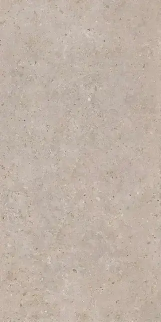 Риккарди бежевый матовый обрезной 60x119,5