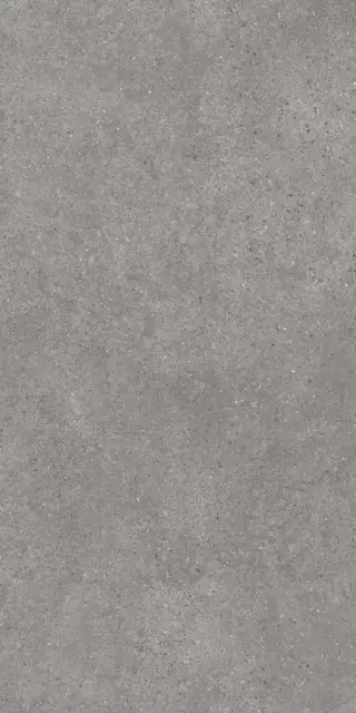 Фондамента серый обрезной|119.5х238.5