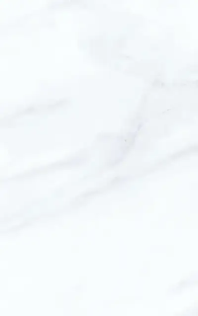 Милана св верх 01 25x40