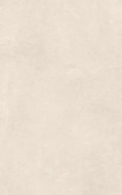 Эфа беж верх 01 25x40