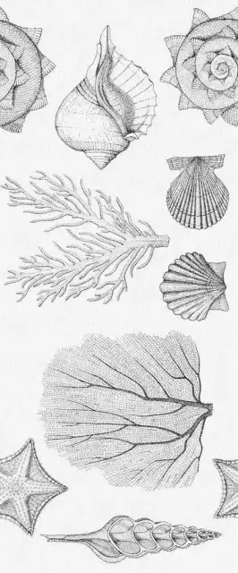 Aqua white wall 01 25х60