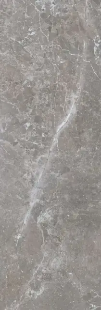 Pietra Antica Grigio XX 33.3x100