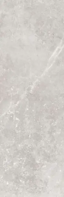 Pietra Antica Cenere XX 33.3x100