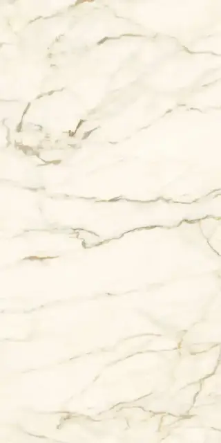 Calacatta Macchia Vecchia Luc |60x120
