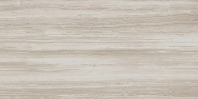 Biotech Stonewood R+Ptv 9 Mm 60x120