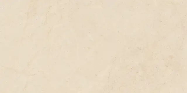 Biotech Crema Stone R+Ptv 9 Mm 60x120