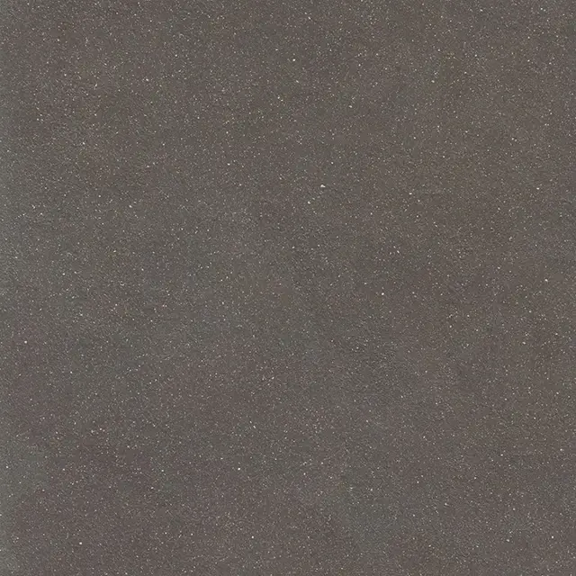 Earthtech Carbon Ground Ptv 9 Mm 60x60