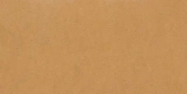 Earthtech Savanah Ground Ptv 9 Mm 60x120