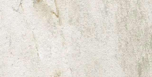 Walks 1.0 White 30x60