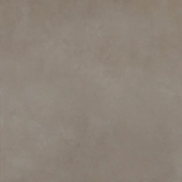 Easy Life Grey Salt Silk Matte 120x120