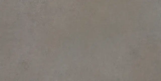 Easy Life Grey Salt Matte 60x120