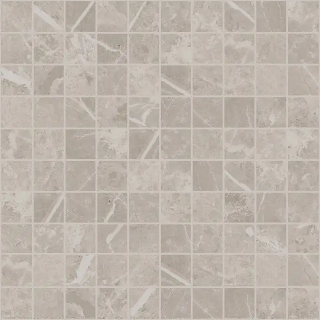 Elemental Stone Grey Dolomia 3x3 Mos Lucido 30x30