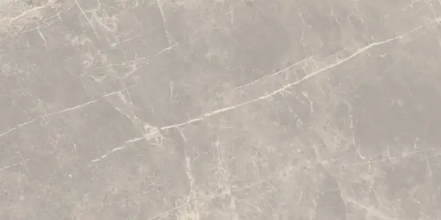 Elemental Stone Grey Dolomia Lucido 60x120