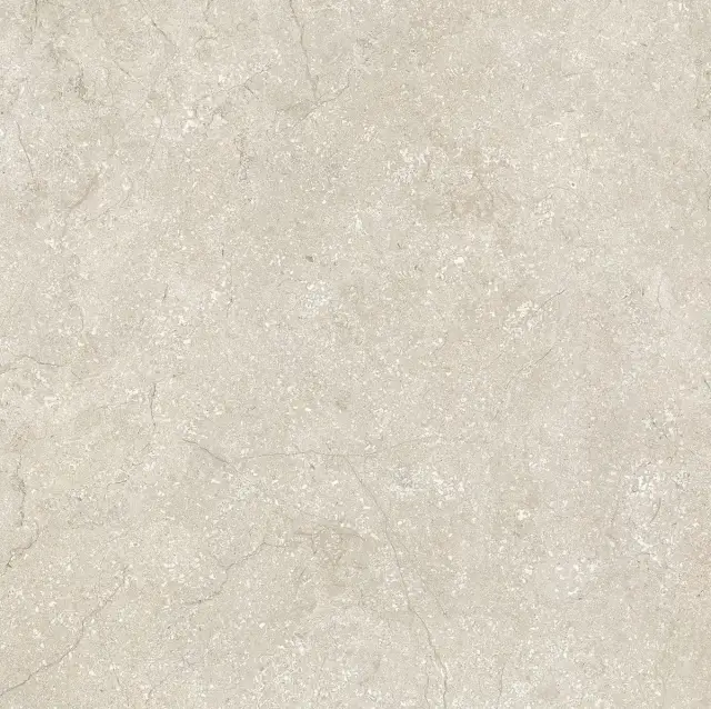 Stone Life Shell Matte 80x80