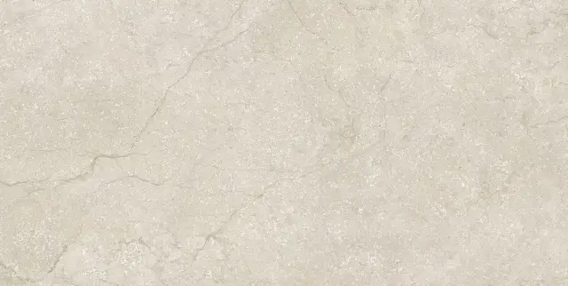 Stone Life Shell 9 Mm 60x120