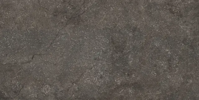 Stone Life Graph R11 Ptv 9 Mm 60x120