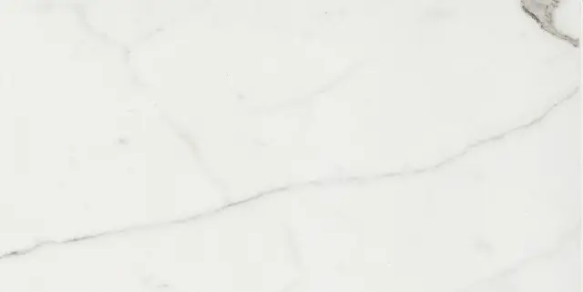 Timeless Calacatta Nat 30x60