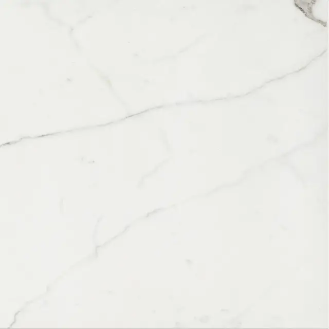 Timeless Calacatta Nat 60x60