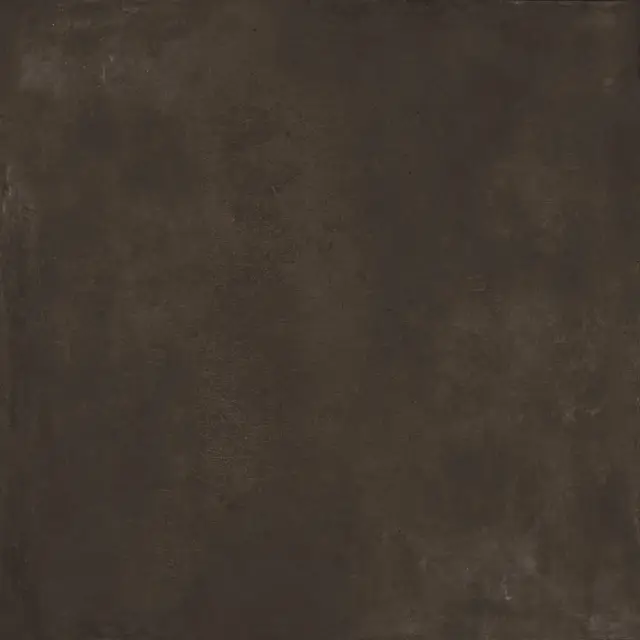 Sensi Terre Carbone Nat 120x120