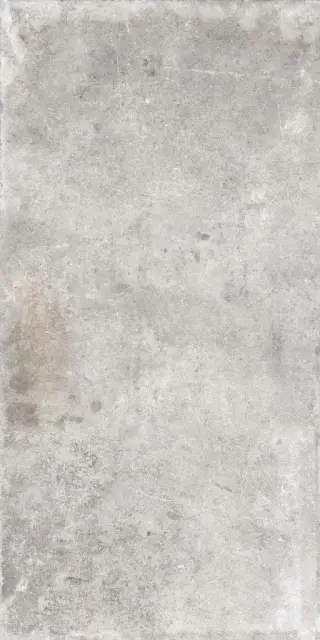 WINDSOR LIGHT GREY RET 60x120  8,5 мм