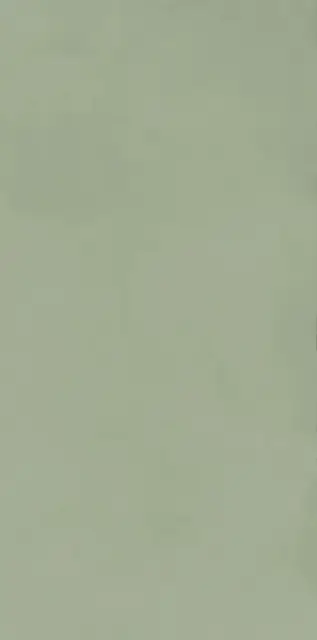 PASTEL X SALVIA RET 60x120  7 мм