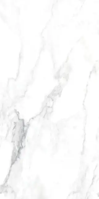 CANOVA ARABESCATO LAP RET 60x120  8,5 мм