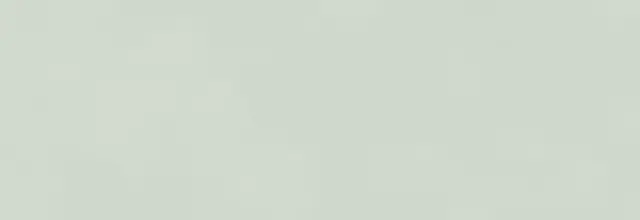 BRIO SALVIA RET 33,3x100 7мм