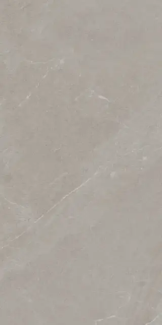 ANGERS AV TAUPE RET 60x120