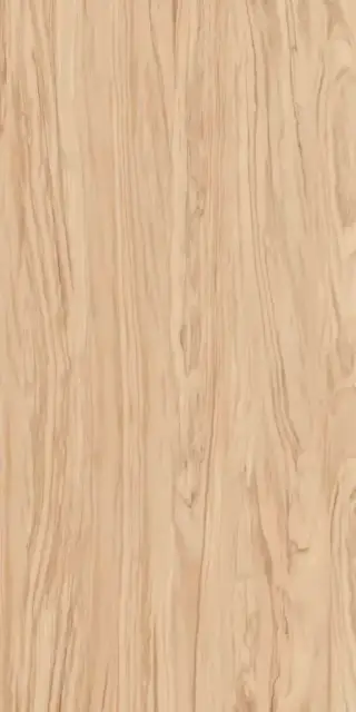 Олива бежевый обрезной ХХ|60x119,5