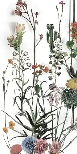 Franz (3 Варианта Паттерна)