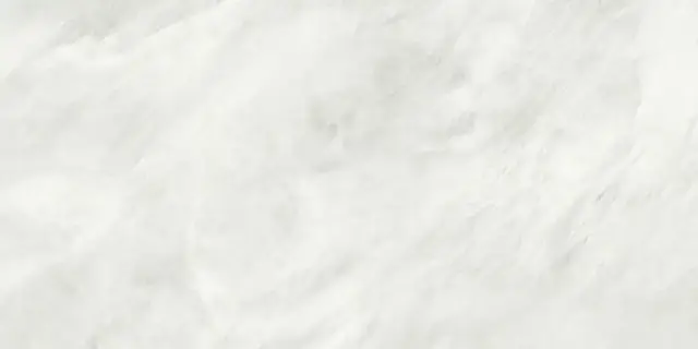 ALEXANDRIA WHITE MATT RECT 60X120 NEW