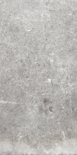 WINDSOR LIGHT GREY 20x40 8,5 мм