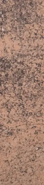 Bristol Dark «мин. шов 1 см» |6x25