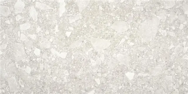 CEPPO DI GRÉ LIGHT GREY MT 60X120
