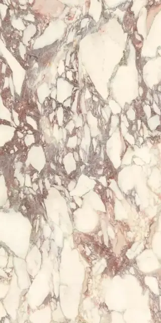 Calacatta Viola Soft 60x120