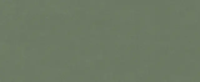 Серфейс Форест Грин 50x120