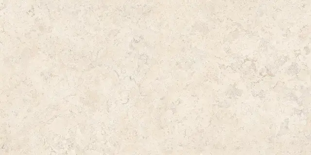 Спастоун Кампосперо Матовый 60x120