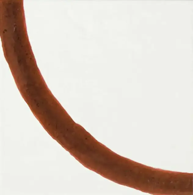 Bend 20x20