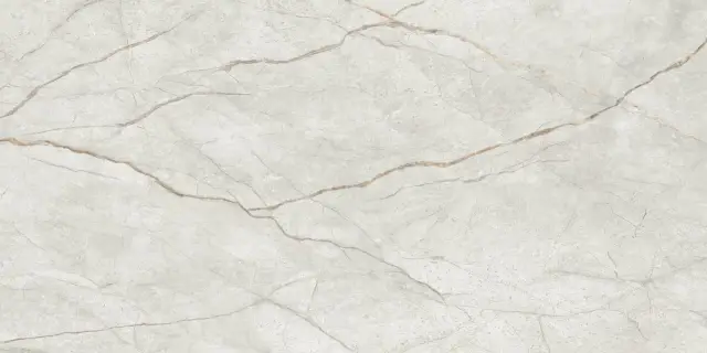 Мгновение Светло-Серый 60x120