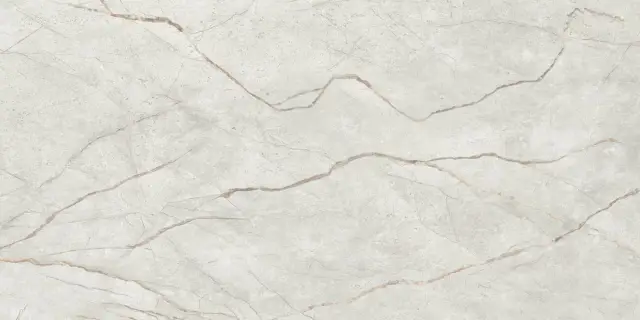 Мгновение Светло-Серый 60x120