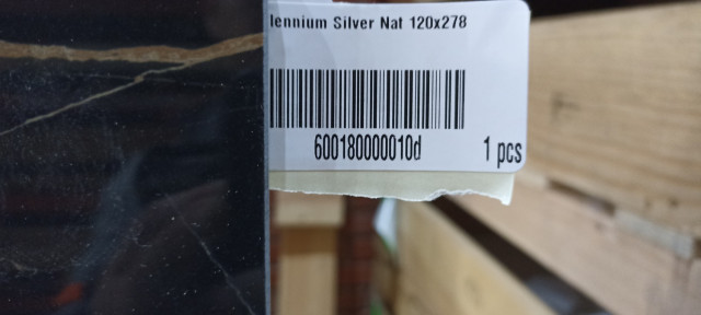 Millennium Silver Nat 120x278