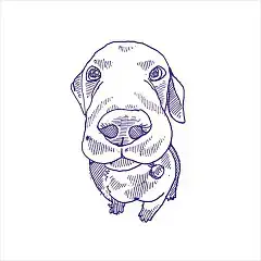 Eddiy Matte (50 Вариантов Паттерна)