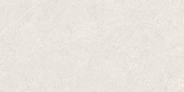 BERGSTEIN LIGHT MATT 60X120 Artech