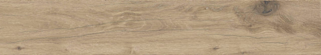 Century Honey Rect Matt 25x150