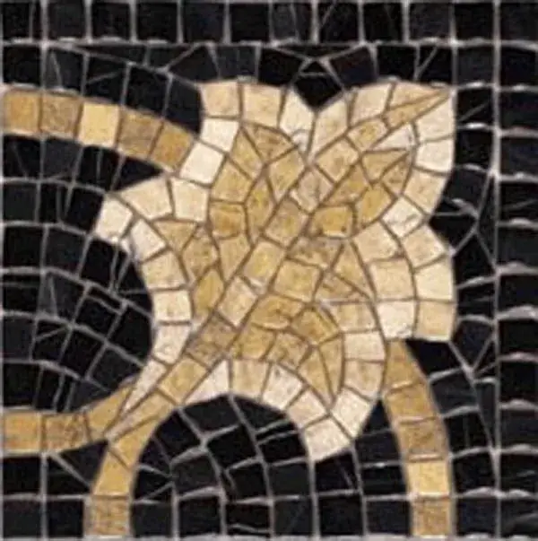 Угол Cantonera Afrodita Negro 21.7x21.7