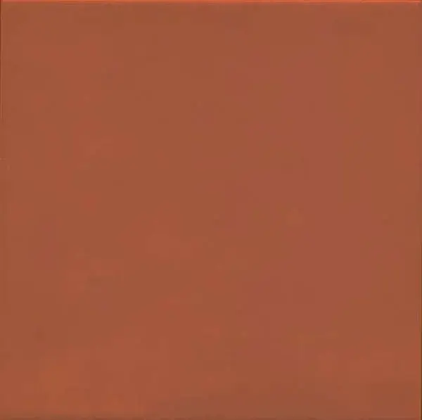 Напольная плитка 1900 Rojizo 20x20